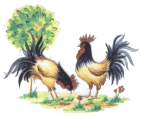 cockerels, roosters bird pottery