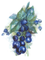 blueberries, blueberry, fruit, pottery