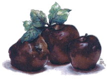 dark apples, apple, fruit pottery