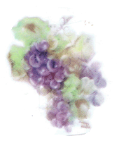 purple grapes, grape, fruit, pottery