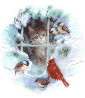 Cats and birds cardinals chickadees by window