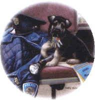 police dog german shepherd