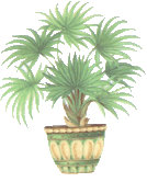 palm tree, trees, plants, pottery