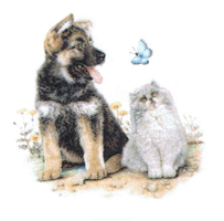 dog and german shepherd and cat and butterfly
