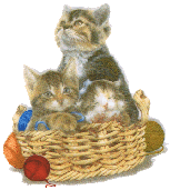 kittens with yarn in basket