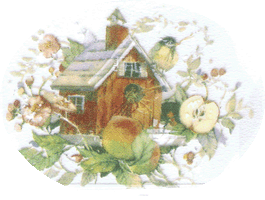 birdhouse, plants, trees, apples, birds, pottery