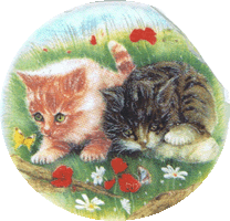 kittens and poppies