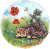 kittens and poppies and butterflies