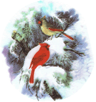cardinals winter bird pottery