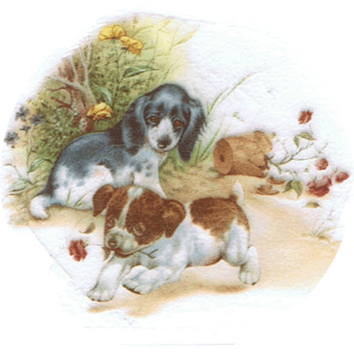 P-36A PUPPIES PLAYING
