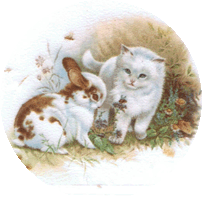 kitten and cat and bunny rabbit