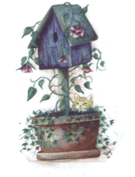 birdhouse, cat, kitten, ivy, plants, pottery