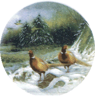 pheasant, winter, pottery, birds