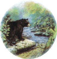 BLACK BEAR, WOODS, bears, northwoods, lodge, pottery, animals
