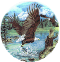 eagle, birds, bird, northwoods, lodge, pottery, eagles
