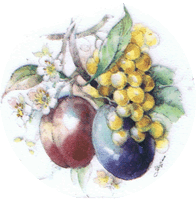 plum, plums, grapes, fruit, pottery
