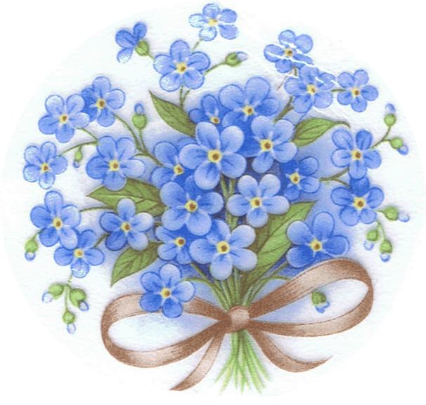 clip art forget me not flower - photo #34