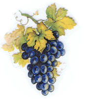 fall grapes, autumn, fruit, grape, pottery