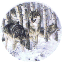 wolf, wolves, birch trees, forest, woods, northwoods, lodge, pottery, animals