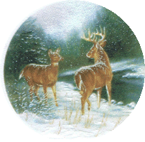buck, doe, deer, winter pottery