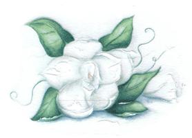 magnolia, flower, flowers, floral, pottery